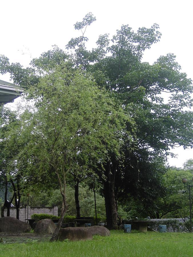 Fumei Bluebird Homestay Nanzhuang Exterior foto