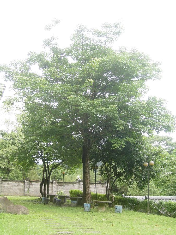 Fumei Bluebird Homestay Nanzhuang Exterior foto